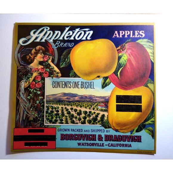 Appleton Apples Fruit Crate Label Art Nouveau Women Rose Original Vintage 1920's - Picture 2 of 5